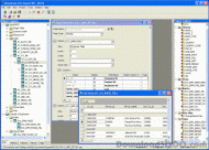 Impact IDE screenshot